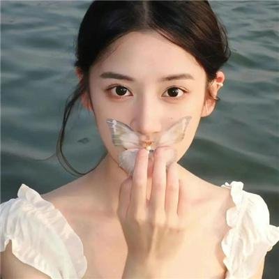 森林战士
